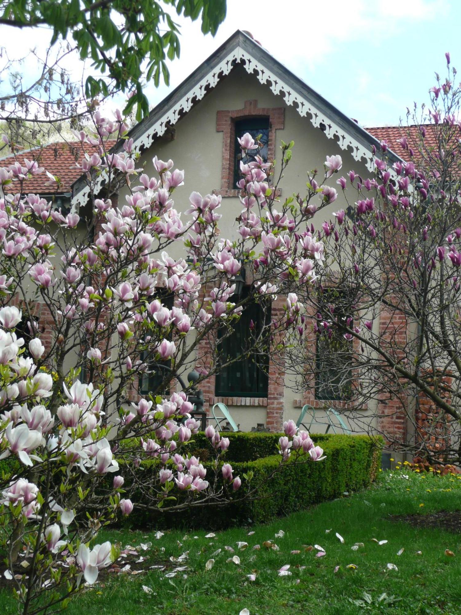 Au Fond De La Cour Bed and Breakfast Veyre-Monton Εξωτερικό φωτογραφία