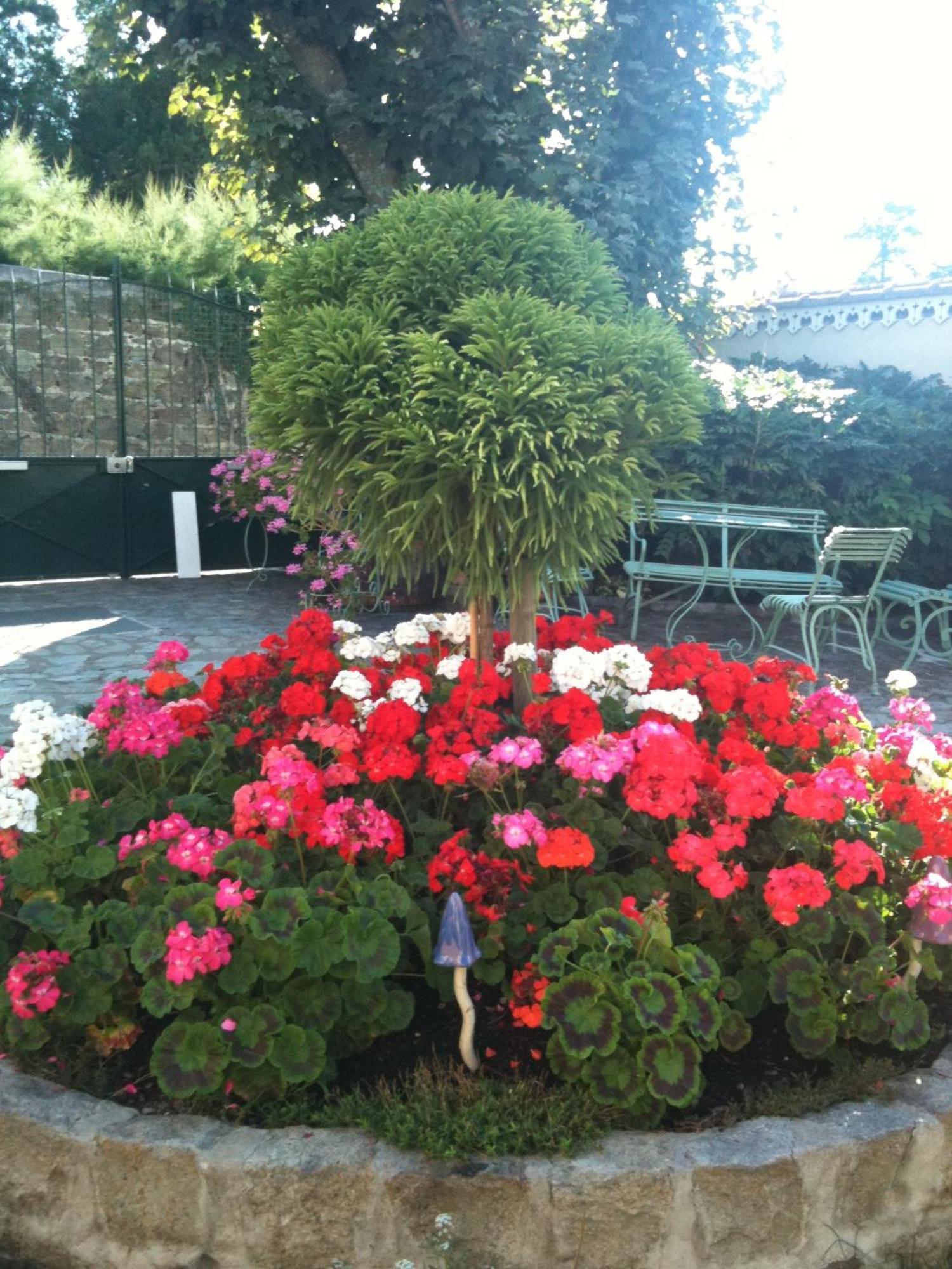 Au Fond De La Cour Bed and Breakfast Veyre-Monton Εξωτερικό φωτογραφία